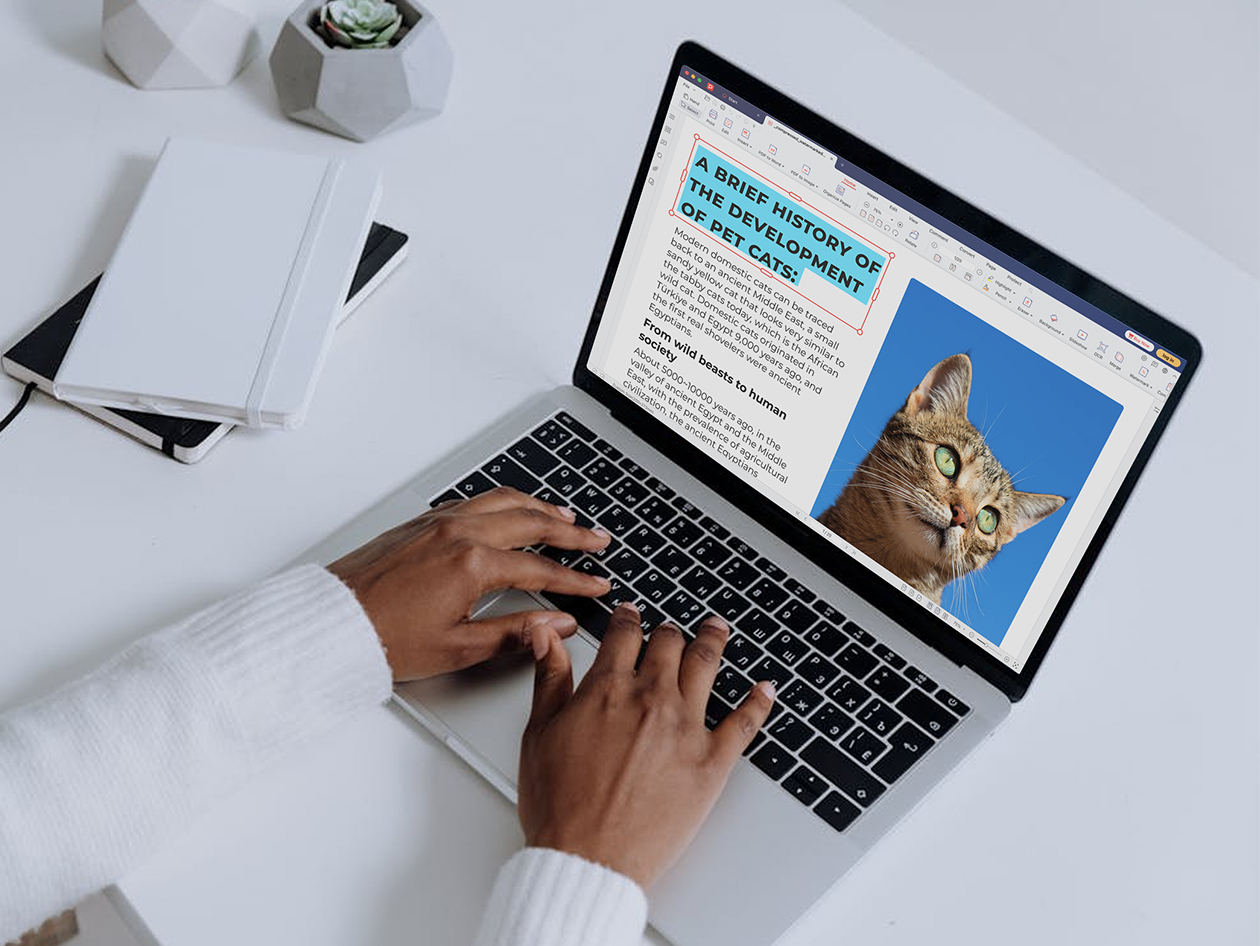 PDF Agile Premium: All-in-One Lifetime Subscription (Windows & Mac)