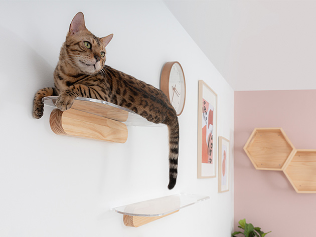 MyZoo 35" Oblong Clear Acrylic Floating Cat Shelf