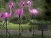 Flamingo LED Solar Garden Lights: 3-Pack