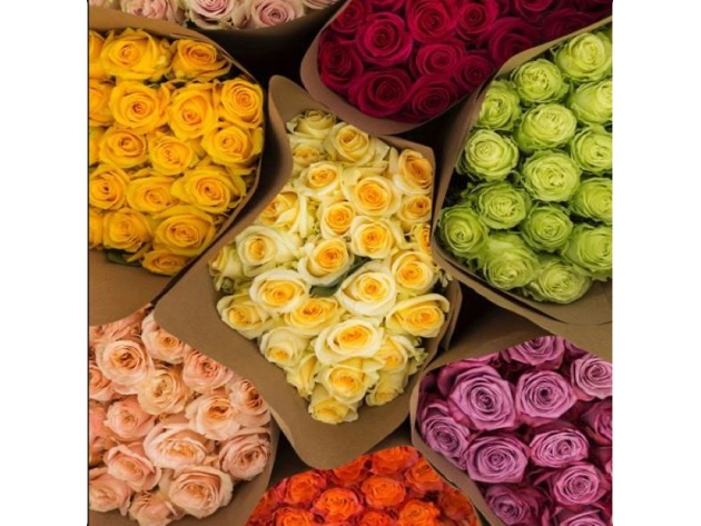 2 Dozen Farmer's Color Choice Long-Stem Roses + Vase Shipped for Only $49.99!