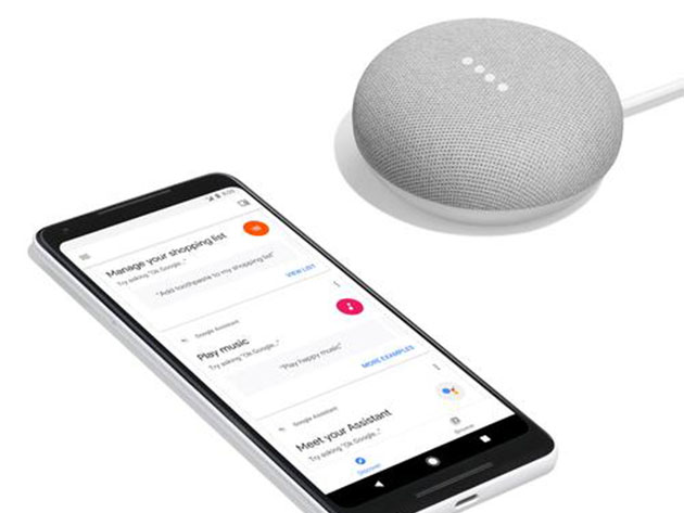 download mini google home