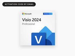 Microsoft Visio Professional 2024: Lifetime License for Windows