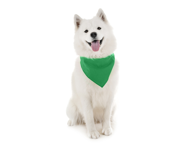 Jordefano Dog Cotton Bandanas - 6 Pack - Scarf Triangle Bibs for Small, Medium and Large Puppies, Dogs and Cats - Green