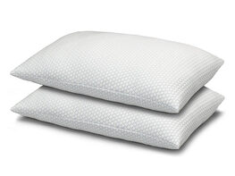 Cool N' Comfort Gel Fiber Pillow with CoolMax Technology: 2-Pack (Queen)