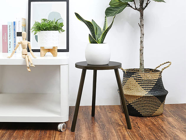 Potey Tall Mid Century Indoor Wooden Plant Stand | StackSocial