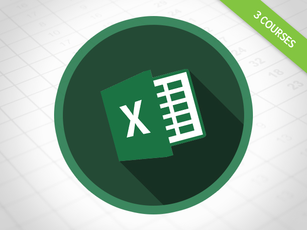 Microsoft Excel Immersion: From Novice To Ninja