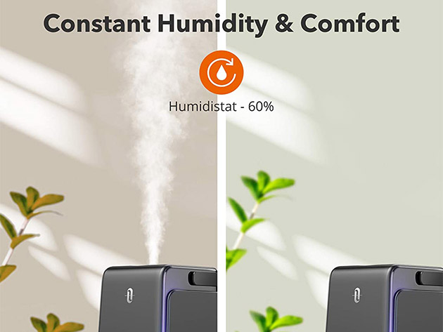 TaoTronics Ultrasonic Cool Mist Bedroom Humidifier (Black)