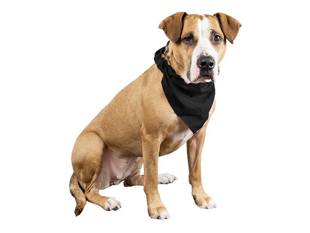 4 Pcs Plain Cotton Pets Dogs Bandana Triangle Shape  - Large & Washable - Black