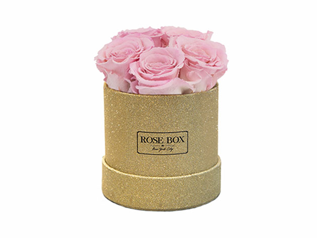 Mini Gold Box with 5 Long-Lasting Roses (Light Pink)