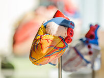 Medical Terminology of the Cardiovascular System: Part 2 - Product Image