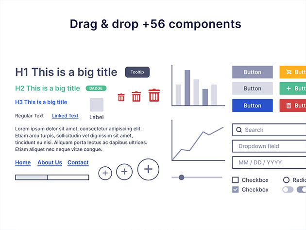 Zen Wireframe Pro: Lifetime Subscription