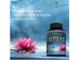 Aeternum Nutrition Serene Herbal Stress Relief - Supports Nervous System, Stress Reduction and Positive Mood, 90 Tablets Dietary Supplement