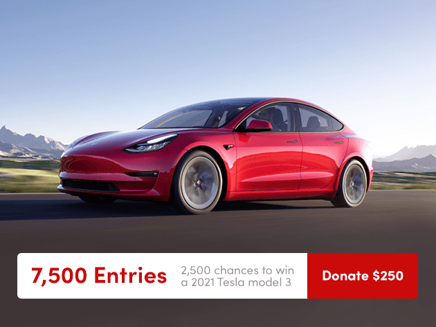 7500 Entries to Win a 2021 Tesla Model 3 & Donate to Charity