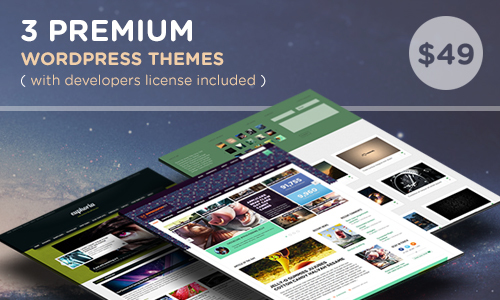3 Premium WordPress Themes