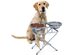 Pet Store 3738 3 Step Adjustable Elevated Dog & Cat Bowls