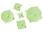 Honeydew