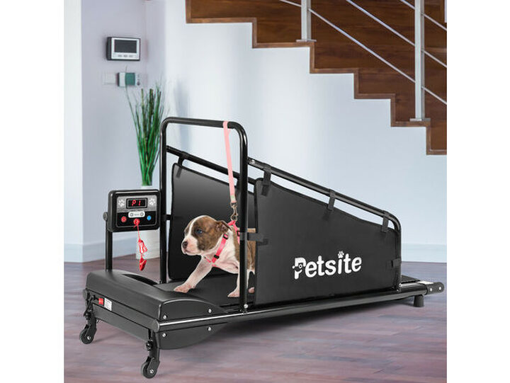 Petsite PETSITE Dog Treadmill Pet Dog Running Machine for Small