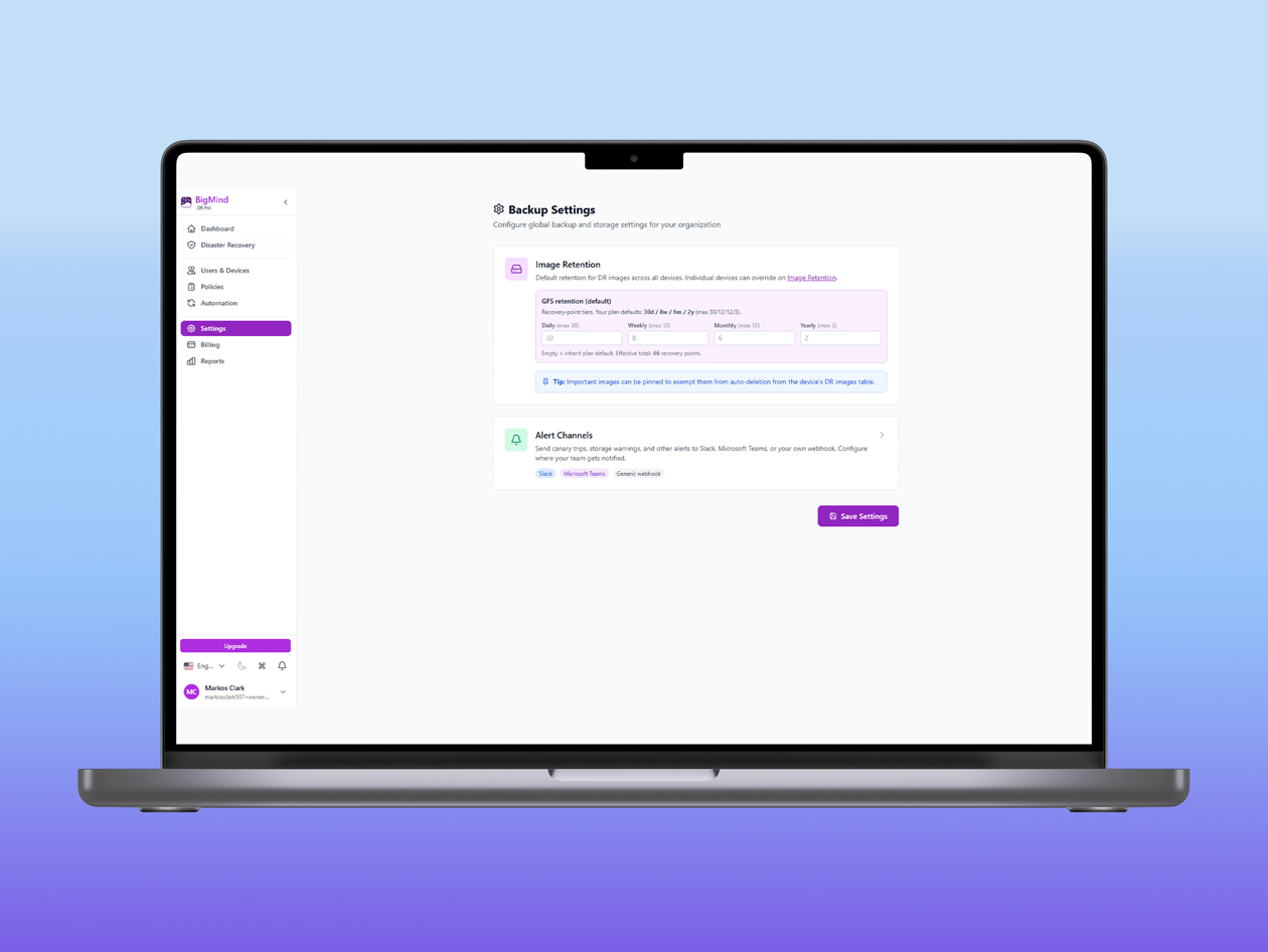 BigMind Data Recovery Plus Plan: Lifetime Subscription