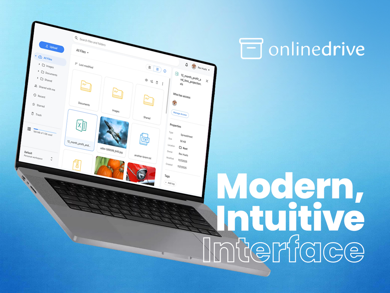 OnlineDrive Cloud Storage: Lifetime Subscription
