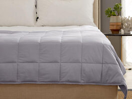 Kathy Ireland Weighted Blanket (Silver/15 Lb, 48"x 72")