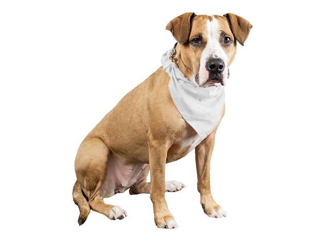 Mechaly 4 Pcs Plain Cotton Pets Dogs Bandana Triangle Shape  - Large & Washable - White