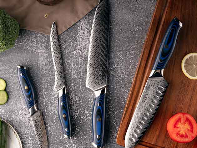 Seido Kanpeki Damascus 4-Piece Knife Set