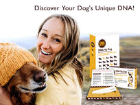 DNA My Dog NextGen - Canine Breed Identification PLUS Genetic Age Test - Product Image