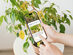 Plantum - AI Plant Identifier Premium Plan: Lifetime Subscription (For iOS Only)