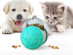 Educational Interactive Cat & Dog Feeder Ball