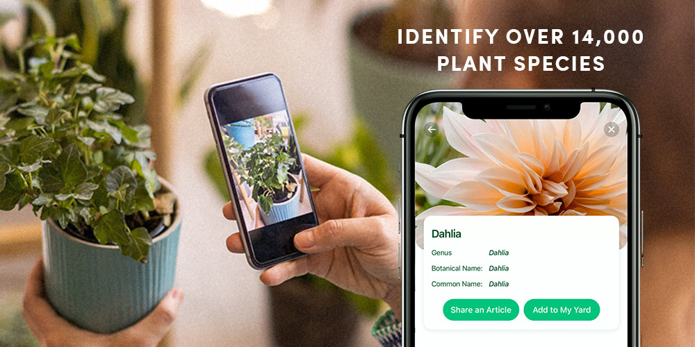 With NatureID on your iPhone, you can instantly tell what kind of plan you're looking at.