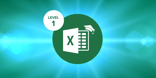 Excel 2016 Level 1