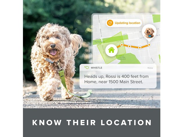 Whistle Go Explore Ultimate Health & Location GPS Tracker for Pets - Grey (New)