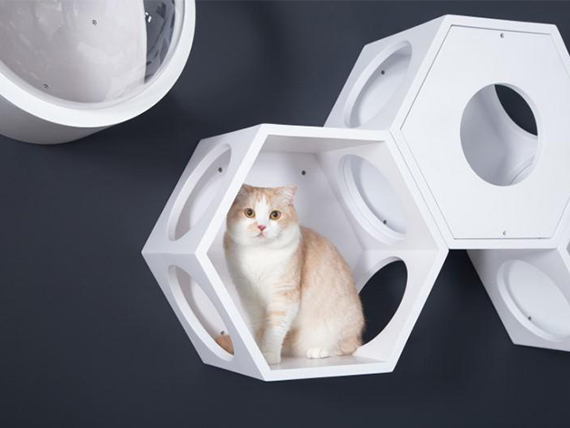 MyZoo BusyCat: Wall Mounted Cat Bed