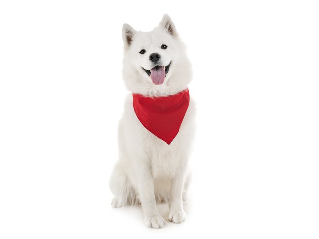 Mechaly Dog Plain Cotton Bandanas - 3 Pack - Scarf Triangle Bibs for Small & Large Puppies, Dogs and Cats - Red