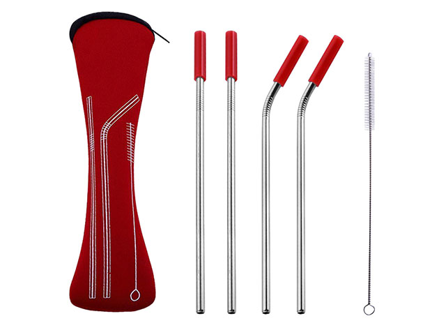 Stainless Steel Straw 4-Pc Set with Carrying Case & Cleaning Brush