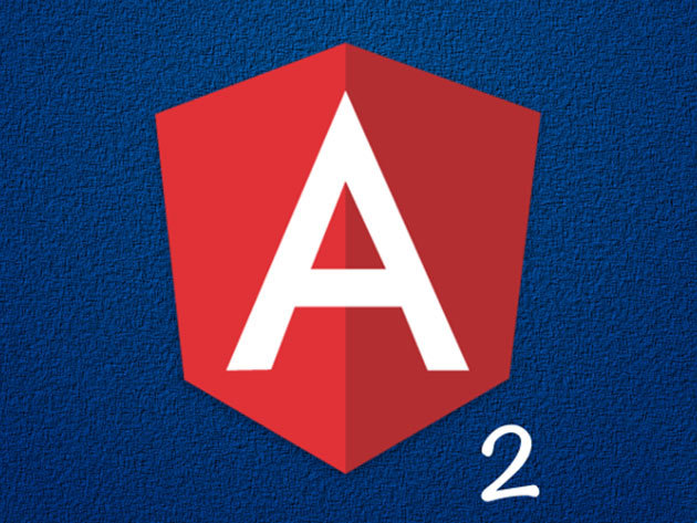 The Immersive Angular 2 Bundle