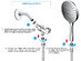SparkPod Wide-Angle Handheld Shower Head with Hose