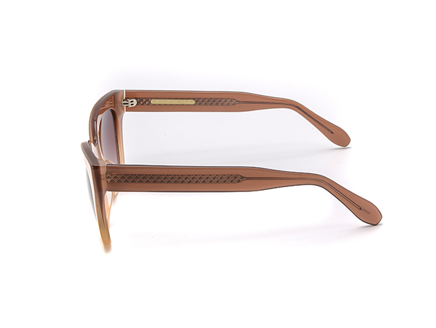 BCBG Blush & Brown Sunglasses (Store-Display Model)