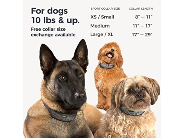 Akc dog outlet tracker