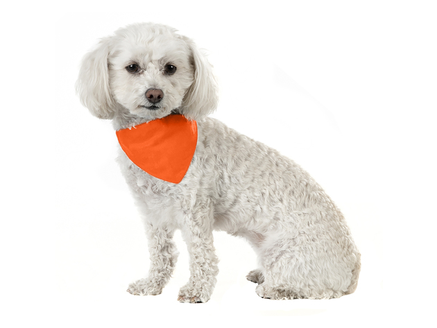 Balec 10 Pack Solid Cotton Dog Bandana Triangle Bibs  - Small & Medium Pets - Orange