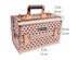 SHANY Fantasy Collection Makeup Artists Cosmetics Train Case - ROSE GOLD