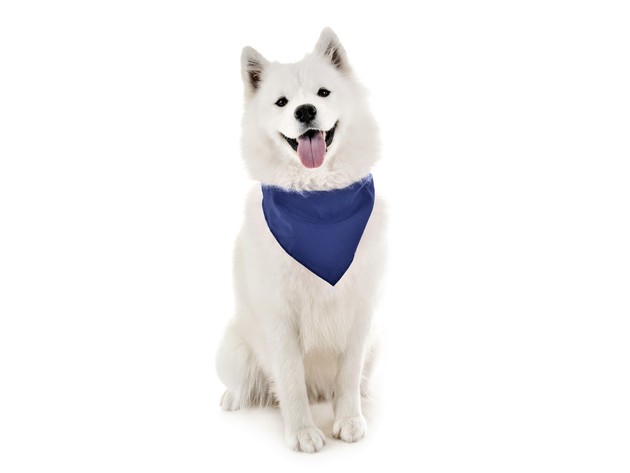Jordefano Dog Bandanas - 7 Pack - Scarf Triangle Bibs for Small, Medium and Large Puppies, Dogs and Cats - Blue