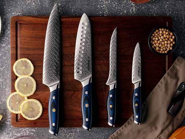 Seido Kanpeki Damascus 4-Piece Knife Set