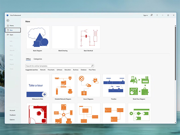 Microsoft Visio Professional 2024: Lifetime License for Windows