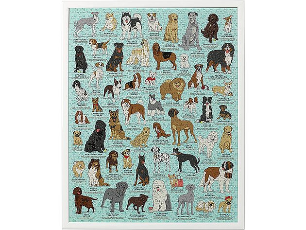 Ridley's Dog Canine Lovers Activity Jigsaw Puzzle, Features 54 Dog Illustrations and Characteristics of Each Breed, 1000 Piece