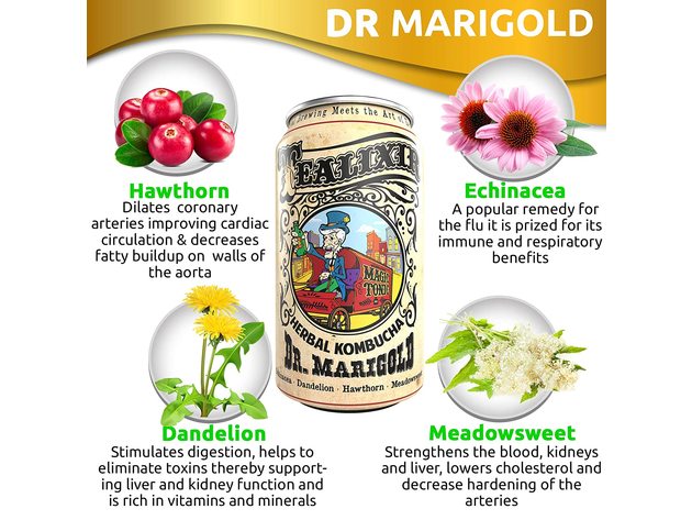 12-PACK Tealixir Herbal Kombucha Tea, Dr. Marigold Herbal Tonic, 12 Ounces Each (144 Ounces)
