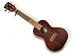 Fret Zealot Ukulele LED Learning System