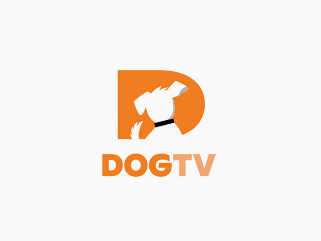 TV for Dogs? Yes! Really! Keep Your Dog Happy Throughout the Day with Video Content Specially Designed for Your Fur Babies