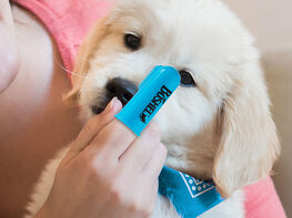 BOSHEL Dog Finger Toothbrush Set