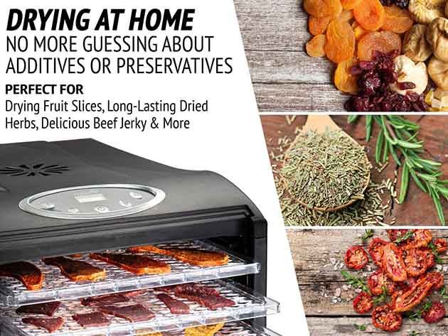 Ivation® 9-Tray Countertop Digital Food Dehydrator